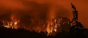 Fighting Wildfires